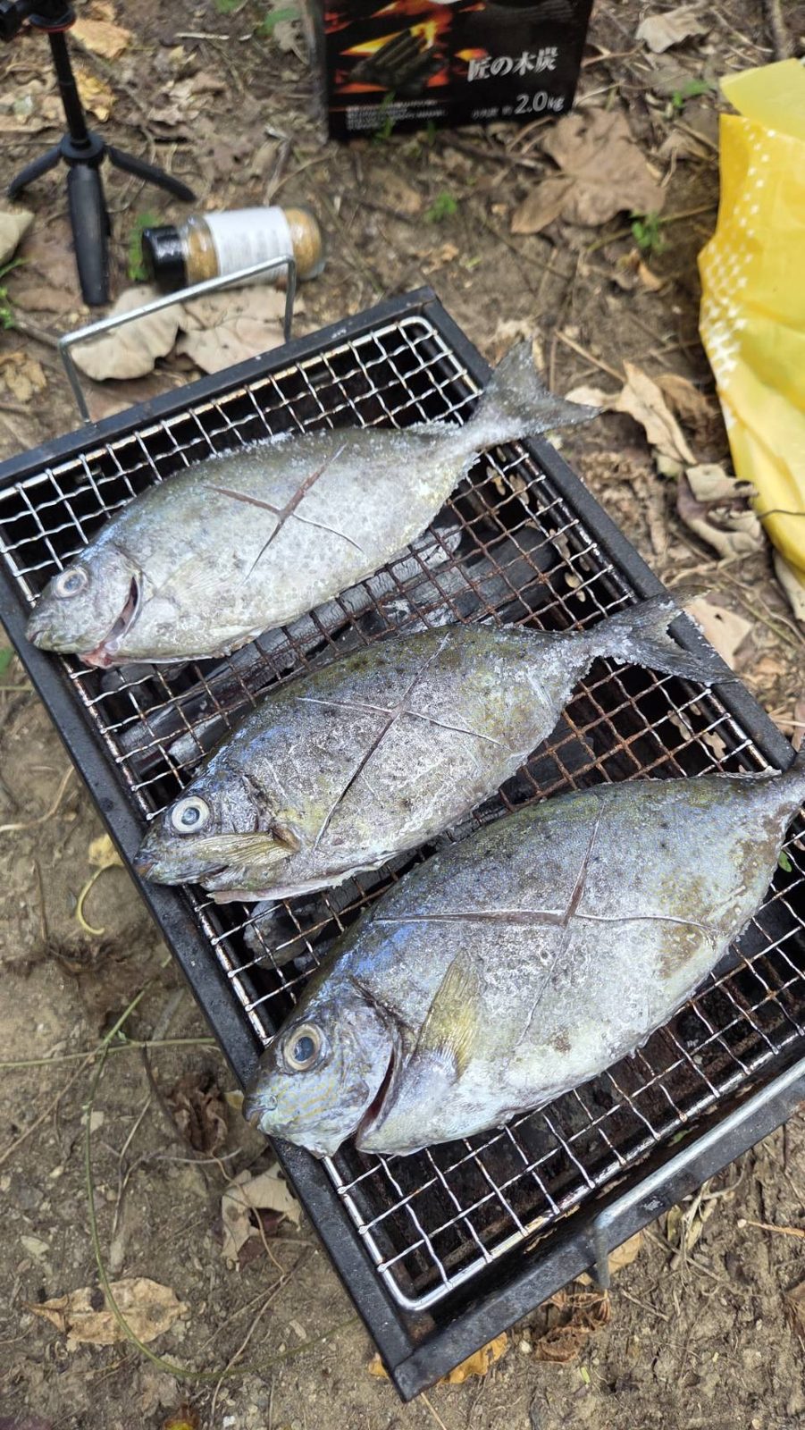 石垣島で釣った魚の炭火焼き｜浜ちゃん観光