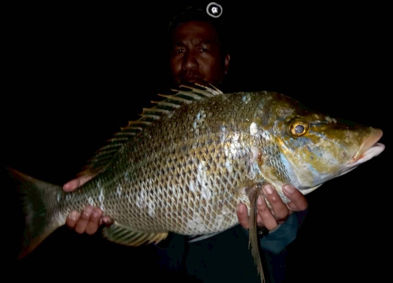 하마짱 관광 투어 사진 4