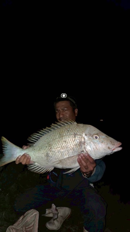 하마짱 관광 투어 사진 5