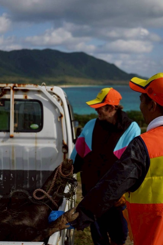 하마짱 관광 투어 사진 11