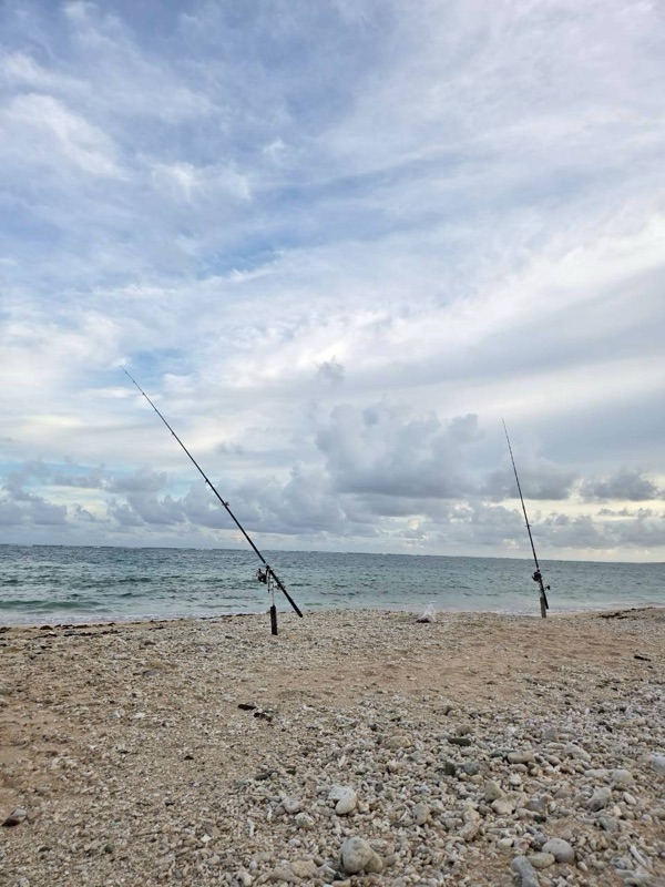 하마짱 관광 투어 사진 31