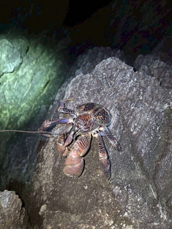 하마짱 관광 투어 사진 66