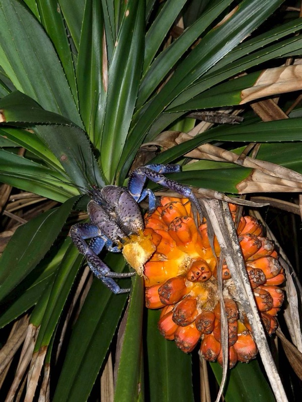 하마짱 관광 투어 사진 67