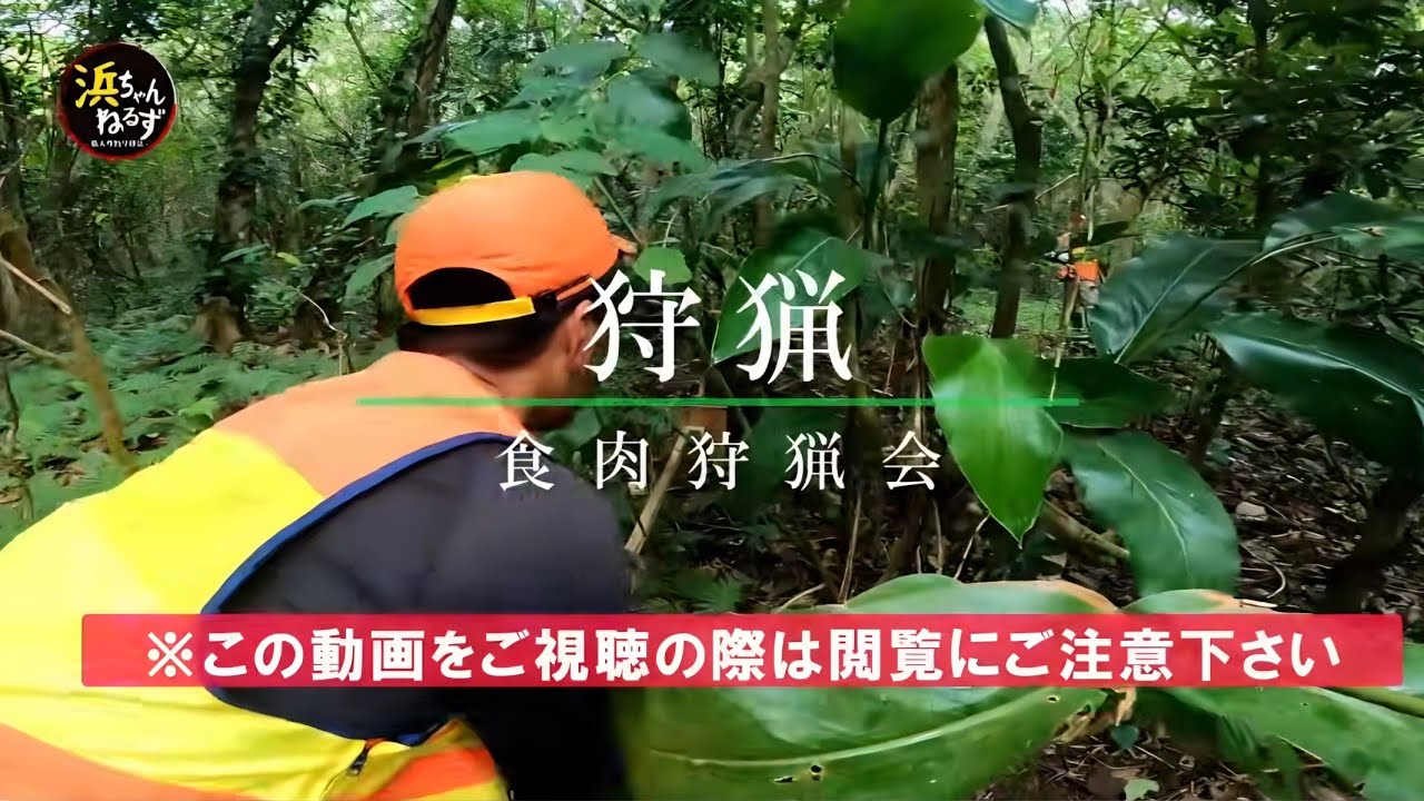 ジャングル探検ツアー - 観光客が行けない石垣島の秘境へ